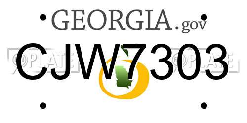 CJW7303 Georgia License Plate
