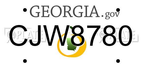 CJW8780 Georgia License Plate