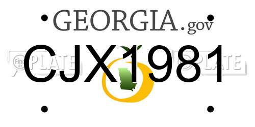 CJX1981 Georgia License Plate