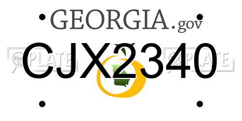 CJX2340 Georgia License Plate
