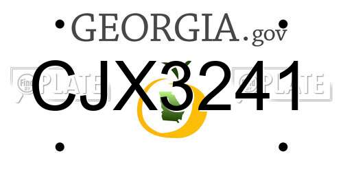 CJX3241 Georgia License Plate
