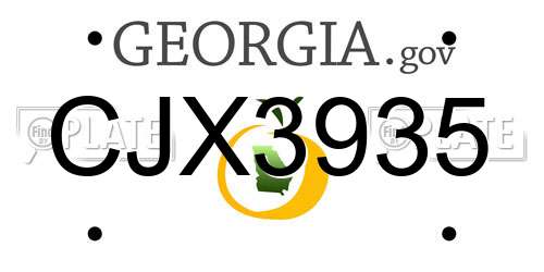 CJX3935 Georgia License Plate