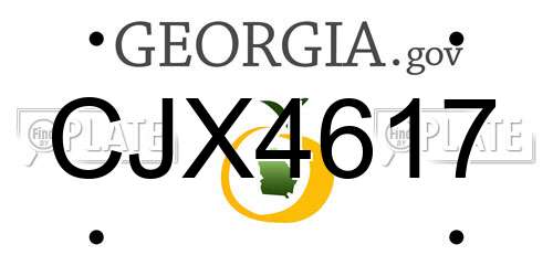 CJX4617 Georgia License Plate