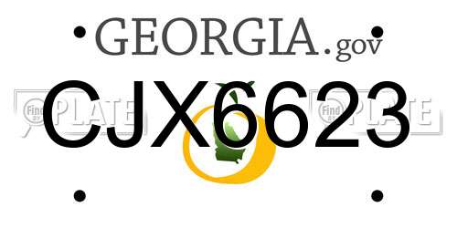 CJX6623 Georgia License Plate