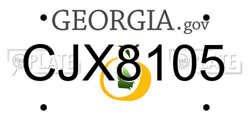 CJX8105 Georgia License Plate