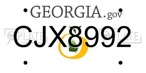 CJX8992 Georgia License Plate