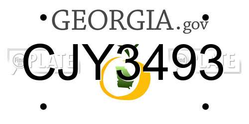 CJY3493 Georgia License Plate