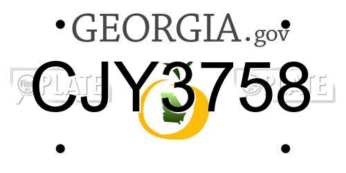 CJY3758 Georgia License Plate