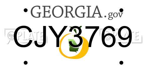 CJY3769 Georgia License Plate