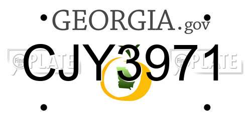 CJY3971 Georgia License Plate