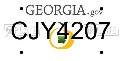 CJY4207 Georgia License Plate