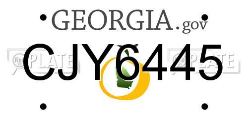 CJY6445 Georgia License Plate