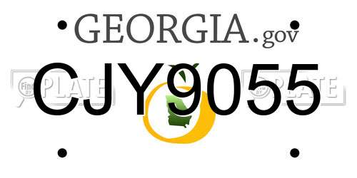 CJY9055 Georgia License Plate