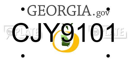 CJY9101 Georgia License Plate