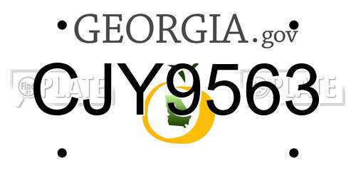 CJY9563 Georgia License Plate