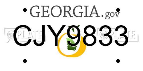 CJY9833 Georgia License Plate