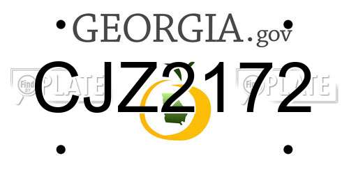 CJZ2172 Georgia License Plate