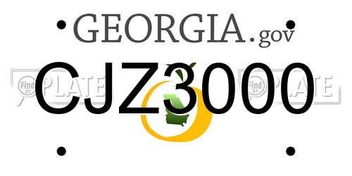 CJZ3000 Georgia License Plate