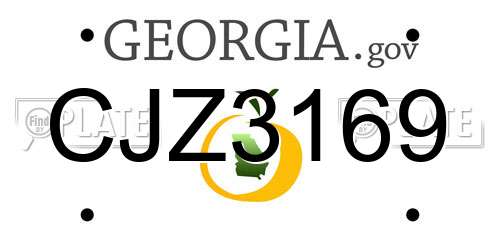 CJZ3169 Georgia License Plate