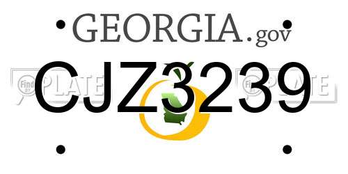 CJZ3239 Georgia License Plate