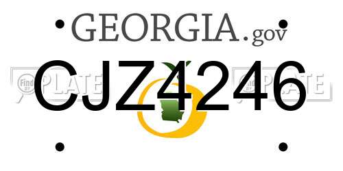 CJZ4246 Georgia License Plate