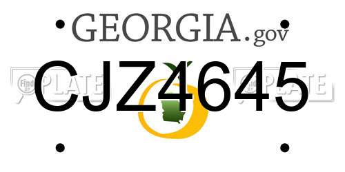 CJZ4645 Georgia License Plate