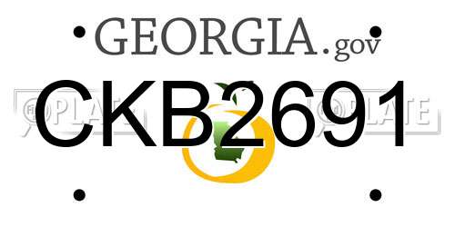 CKB2691 Georgia License Plate
