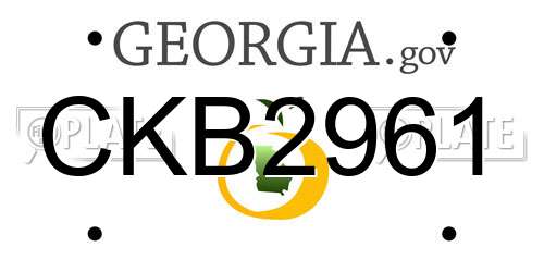 CKB2961 Georgia License Plate
