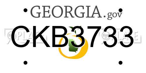 CKB3733 Georgia License Plate