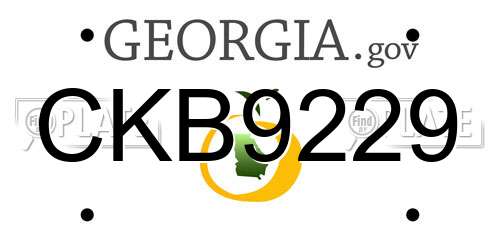 CKB9229 Georgia License Plate