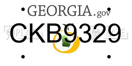 CKB9329 Georgia License Plate