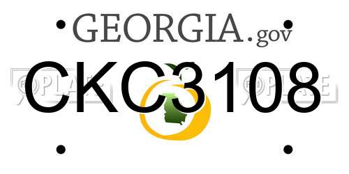 CKC3108 Georgia License Plate