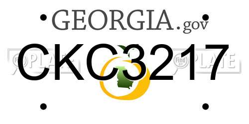 CKC3217 Georgia License Plate
