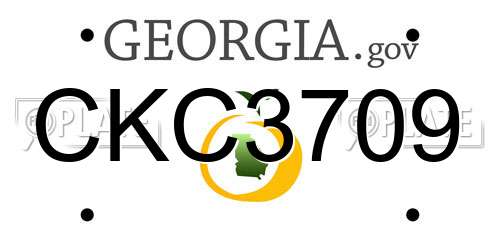 CKC3709 Georgia License Plate