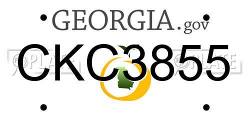 CKC3855 Georgia License Plate