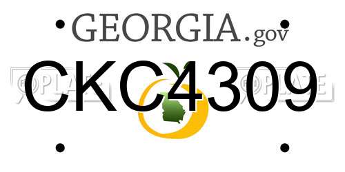 CKC4309 Georgia License Plate