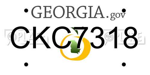 CKC7318 Georgia License Plate
