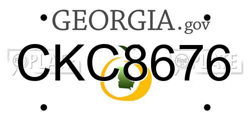 CKC8676 Georgia License Plate