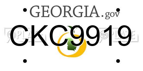 CKC9919 Georgia License Plate