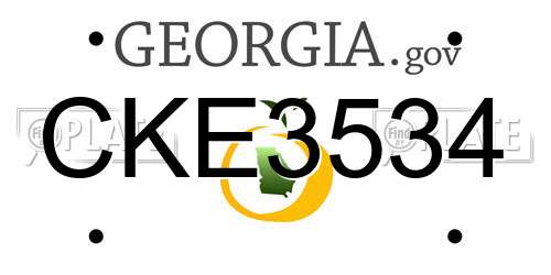 CKE3534 Georgia License Plate