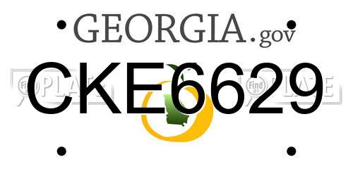 CKE6629 Georgia License Plate