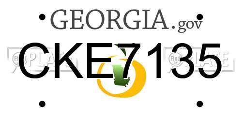 CKE7135 Georgia License Plate