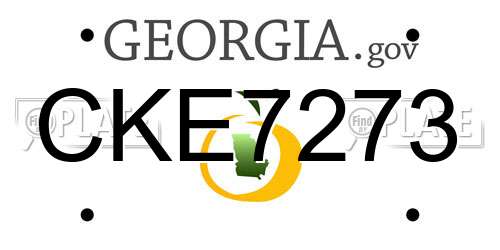 CKE7273 Georgia License Plate