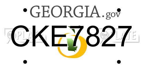 CKE7827 Georgia License Plate