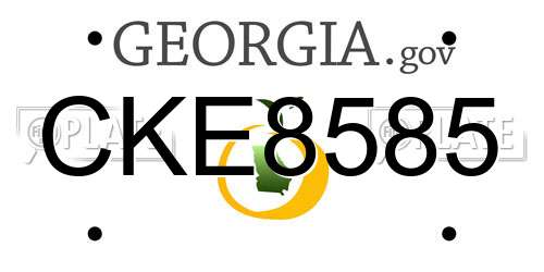 CKE8585 Georgia License Plate