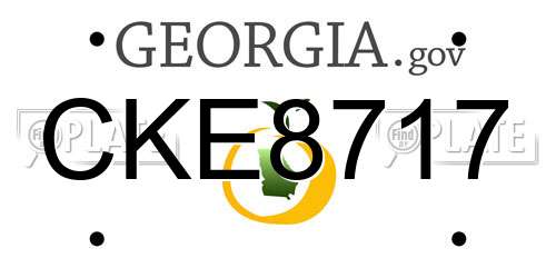 CKE8717 Georgia License Plate