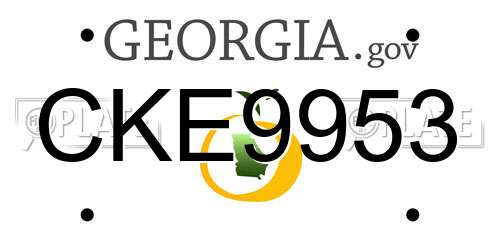 CKE9953 Georgia License Plate