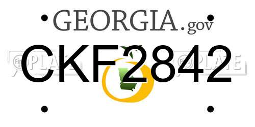 CKF2842 Georgia License Plate
