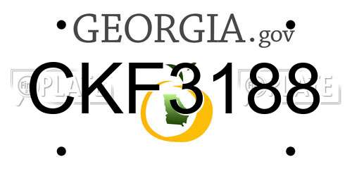 CKF3188 Georgia License Plate