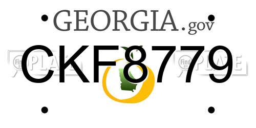 CKF8779 Georgia License Plate